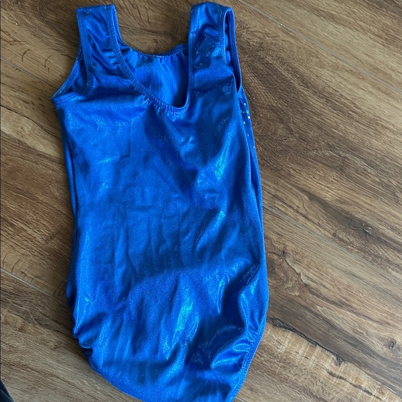 GK Shimmering Blue TEAM FLORIDA Leotard - Picture 3 of 4